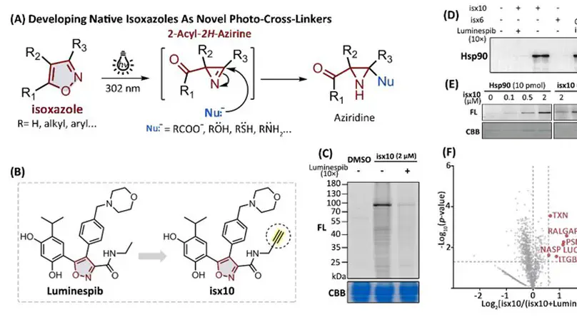 Developing isoxazole as a native photo-cross-linker for photoaffinity labeling and chemoproteomics