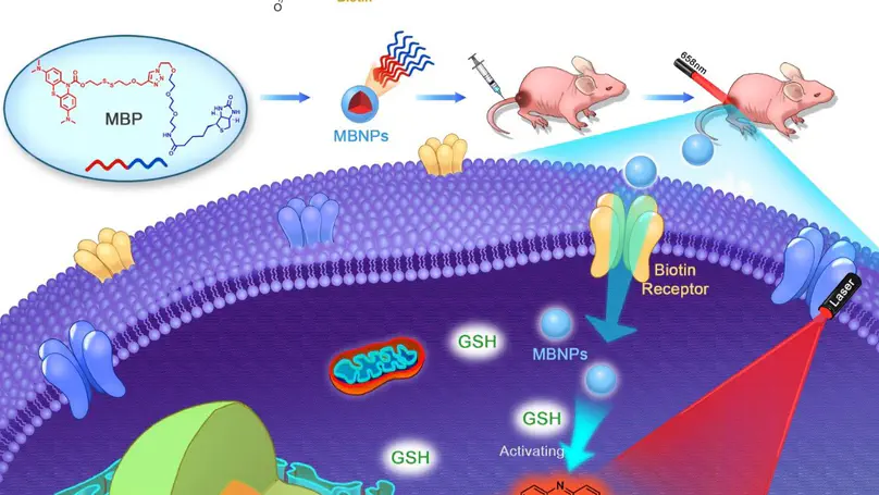 Self-assembled nano-photosensitizer for targeted, activatable, and biosafe cancer phototheranostics