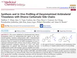 Synthesis and In Vivo Profiling of Desymmetrized Antimalarial Trioxolanes with Diverse Carbamate Side Chains