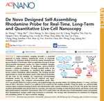 De novo designed self-assembling rhodamine probe for real-time, long-term and quantitative live-cell nanoscopy