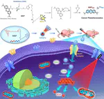 Self-assembled nano-photosensitizer for targeted, activatable, and biosafe cancer phototheranostics
